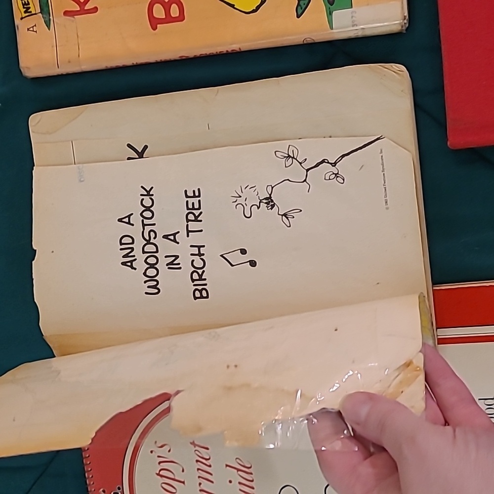 Peanuts Comic Book Collection - Picture 6 of 10